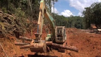 La fièvre de l'or - Bande-annonce (VOST)