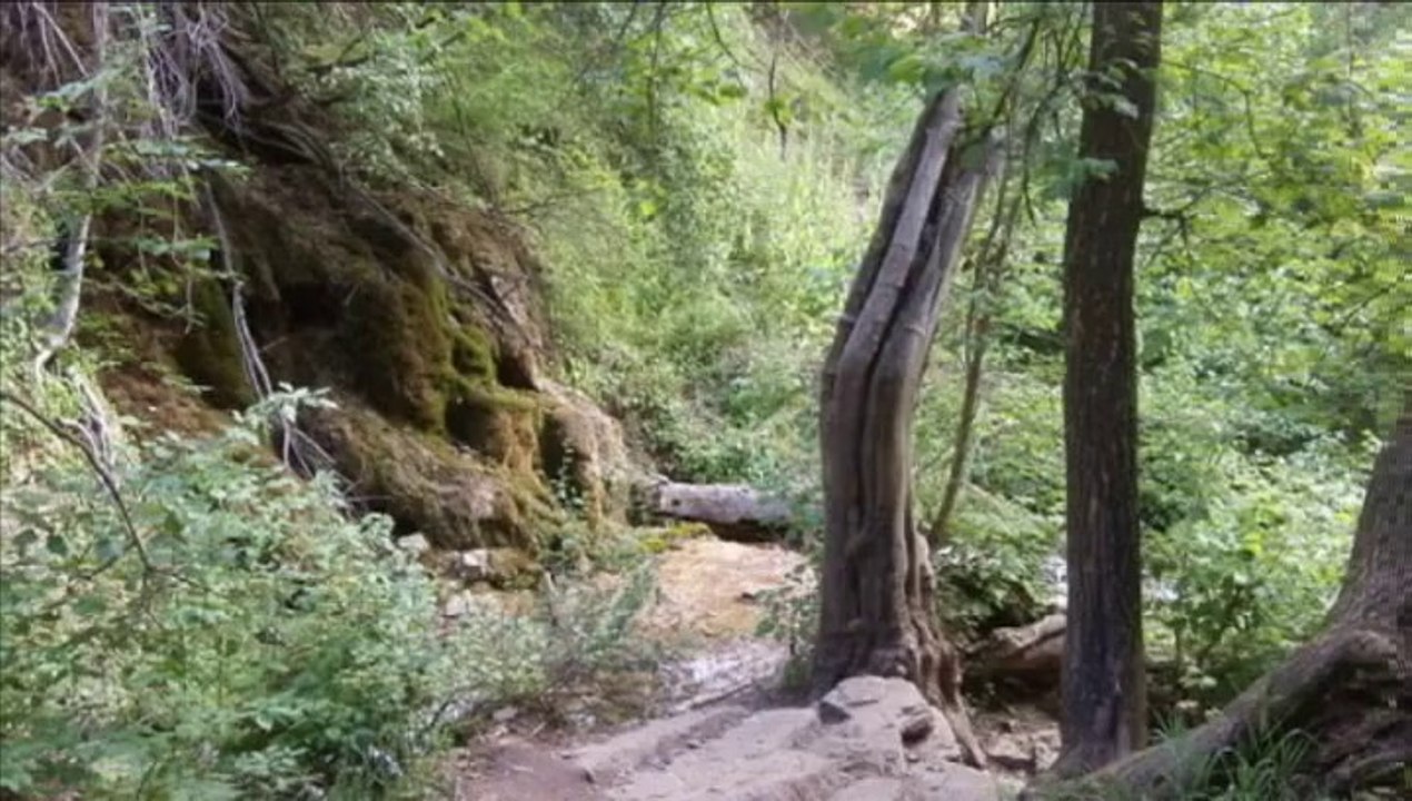 Top 20 Questions About Overcoming Obstacles In Life. How to deal with loneliness.