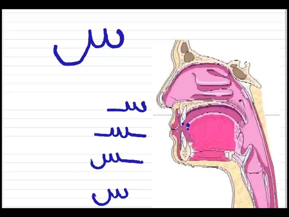 Leçon 6 - Vidéo 1  - Deux lettres de l'alphabet arabe  س  ش affectées de voyelles