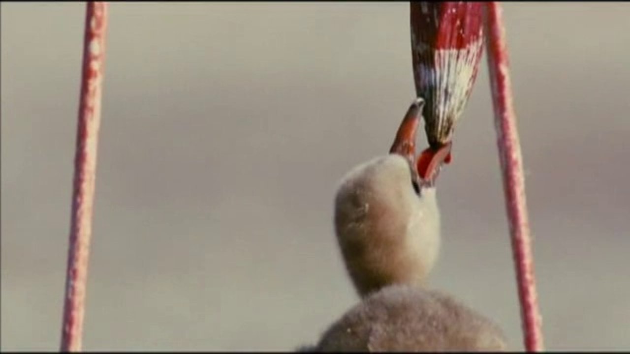 Les Ailes pourpres - Extrait n°1 (VF)