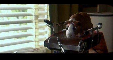 Histoires enchantées - Extrait n°4 (VF)