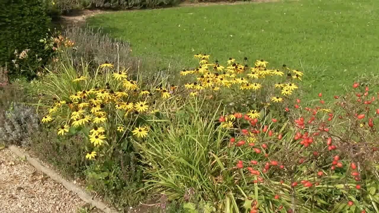 Orangerie Blieskastel