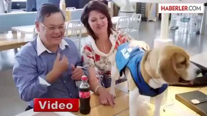 Akıllı Köpek, Kayıp Eşyaları Sahiplerine Ulaştırıyor