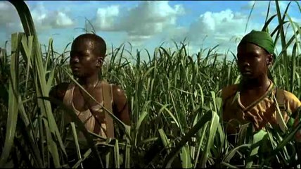 Les Enfants invisibles - Extrait n°1 (VOSTF)