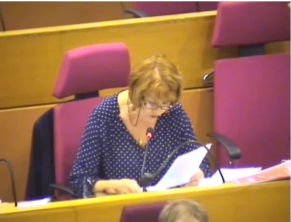 Région IDF_ Gestion fonds structurels européens_ Josy Mollet Lidy