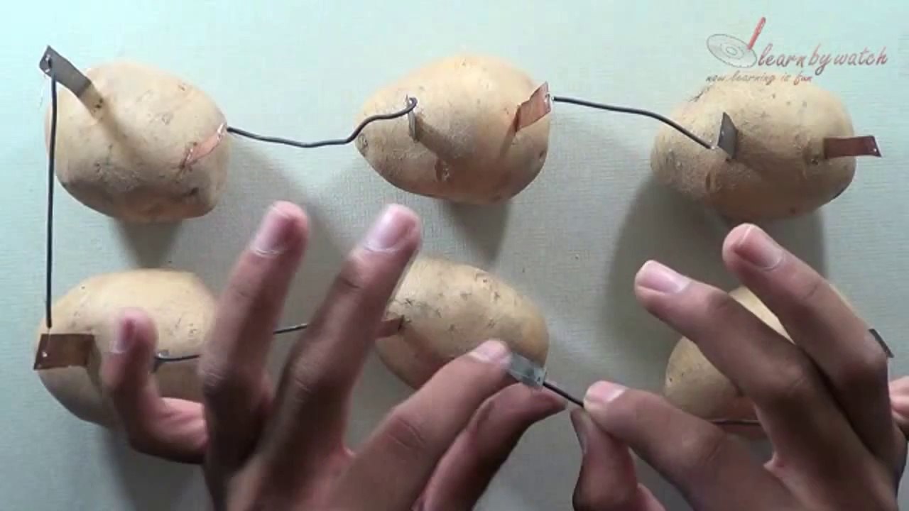 Producing Electricity from Potatoes