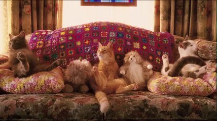 Comme chiens et chats 2 - Bande-annonce (VOSTF)