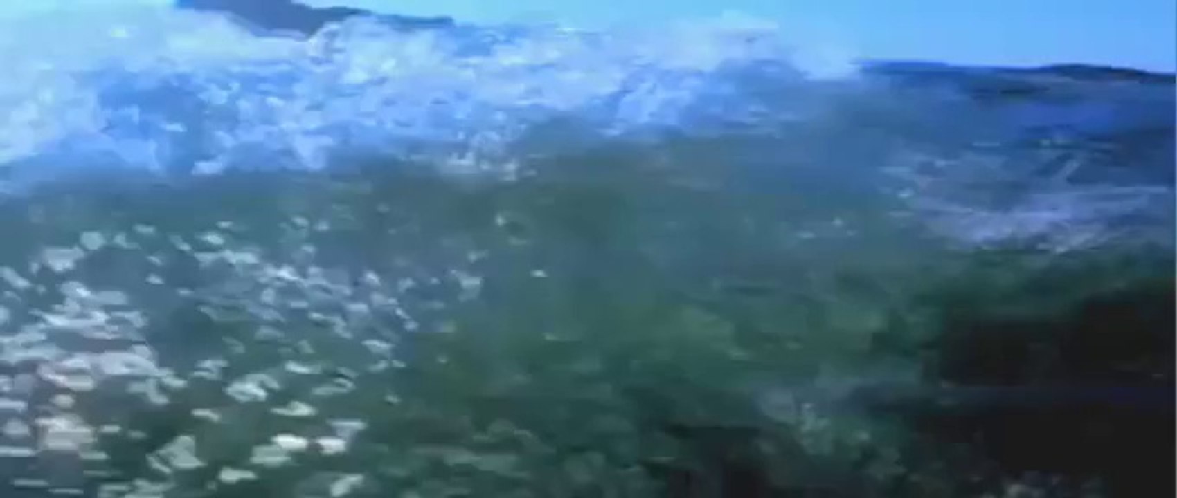 The Reef - Teaser (VO)