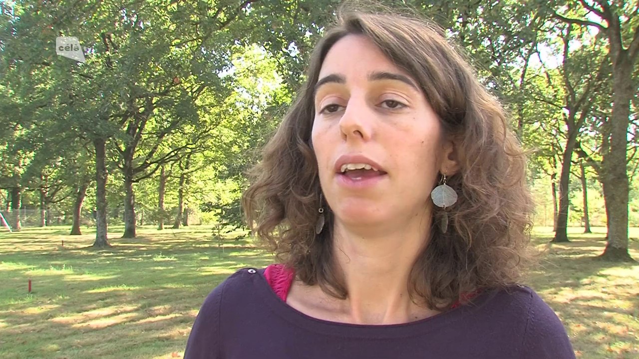 Célà tv Le JT - Les travaux de recherche de l'Inra à découvrir