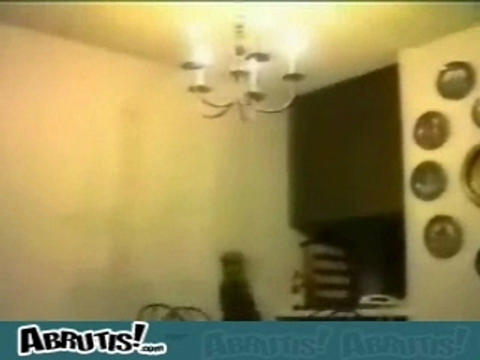 Compilchat