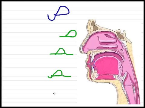 Leçon 10 - Vidéo 1 - Deux lettres de l'alphabet arabe ص ض affectées de voyelles