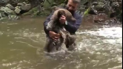 Les meilleurs amis du monde : Un homme et un ours