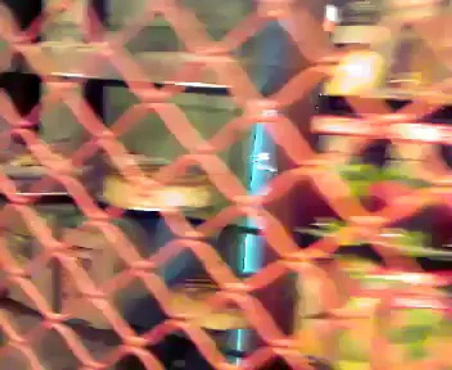 Gourmet Rats By Mohsin Bhatti