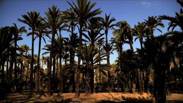 La Bande des Jotas - Teaser N°2