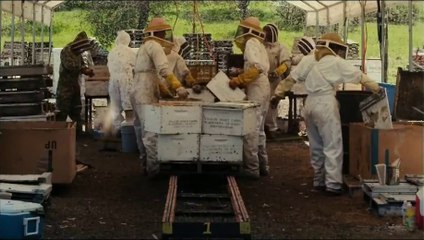 Des Abeilles et des hommes - Bande-annonce