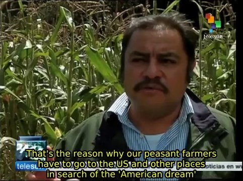 Mexican peasant farmers charge government with lack of support