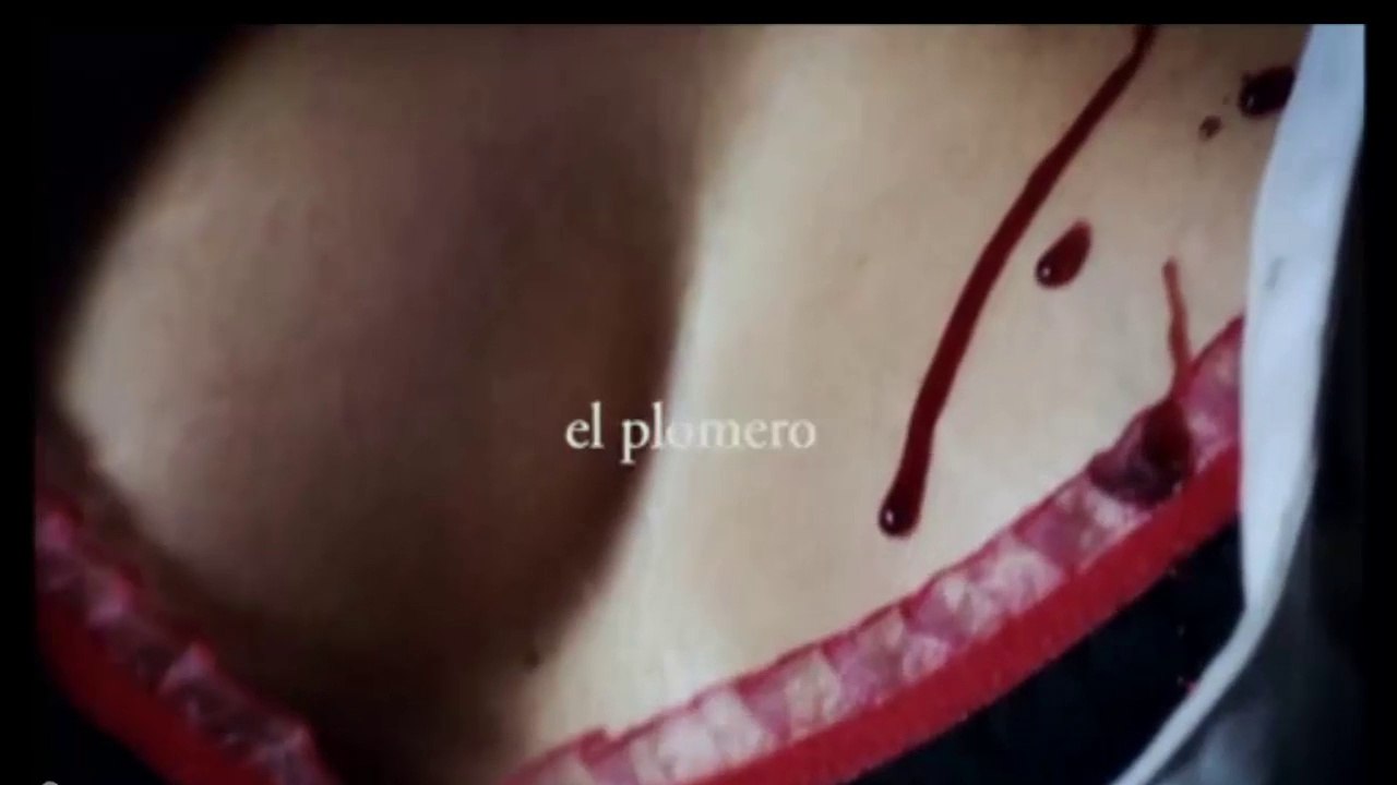 El Plomero