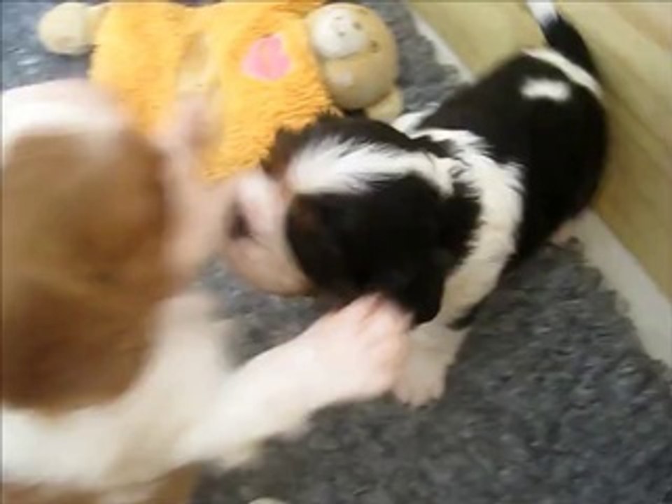 junior et justine 1 mois