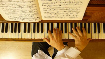 Franz Liszt: Elegie in e-minor