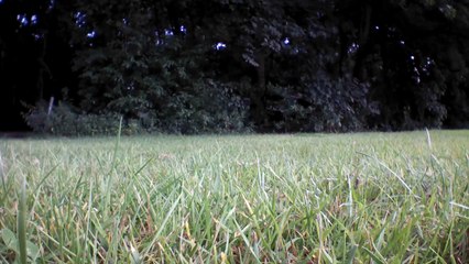 AR.Drone awwsome quadcopter