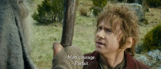 Le Hobbit : La désolation de Smaug - Bande-annonce n°2 (VOST)