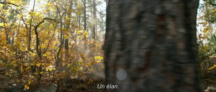 Du sang et des larmes - Bande-annonce (VOST)