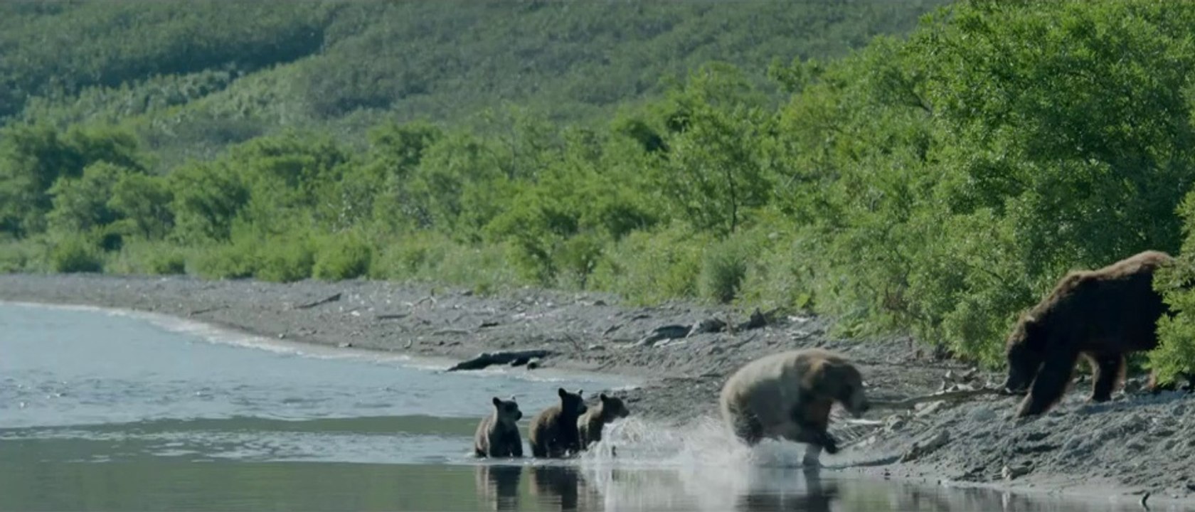 Terre des ours - Bande-annonce