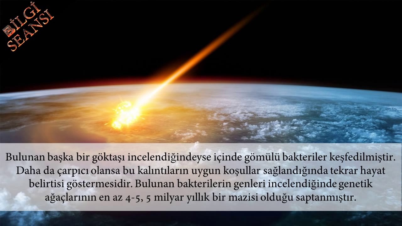 Uzayda Yaşam Var mı Uzaydan mı Geldik ( Panspermia )