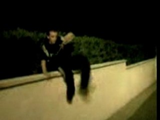 Walter Dans Les Buissons