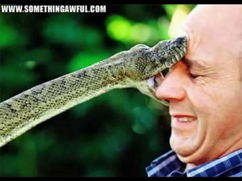 Top 20 Most Unbelievable Real Photos  Amazing Things
