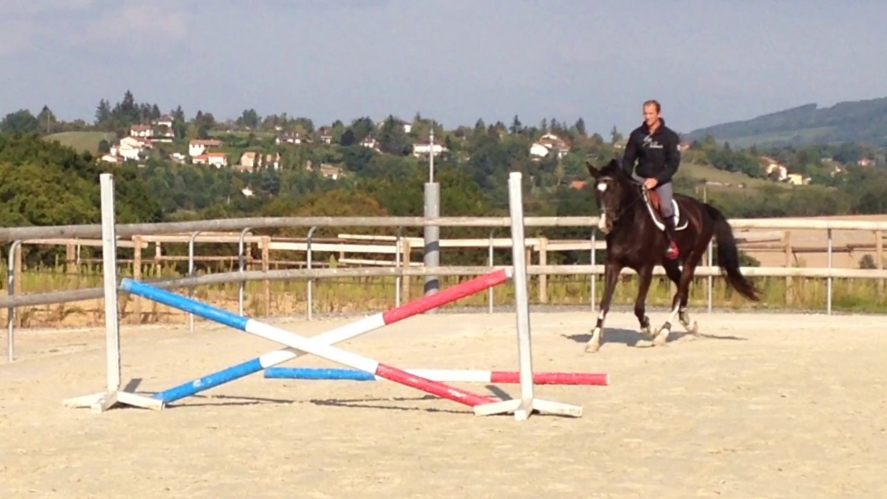 Haras KRF - Vidocq d'Aincantal IMG_6294