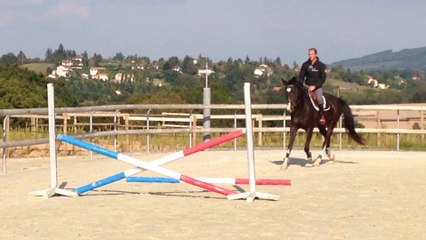 Haras KRF - Vidocq d'Aincantal IMG_6294