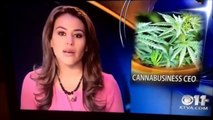 Прямая трансляция: телеведущая признаётся в том, что она владеет клубом марихуаны и заявляет о своей отставкe