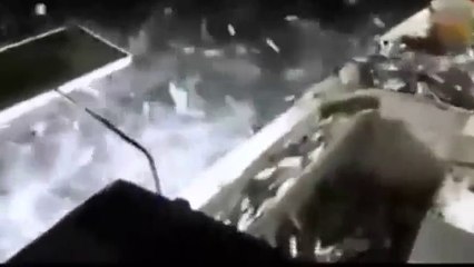 Dinamitle Balık Avlamak