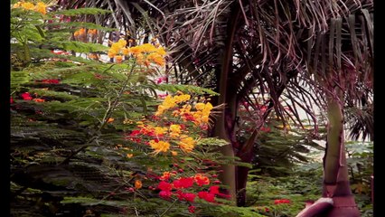 Gopalan Residency : Luxury Apartments in Vijay Nagar, Bangalore