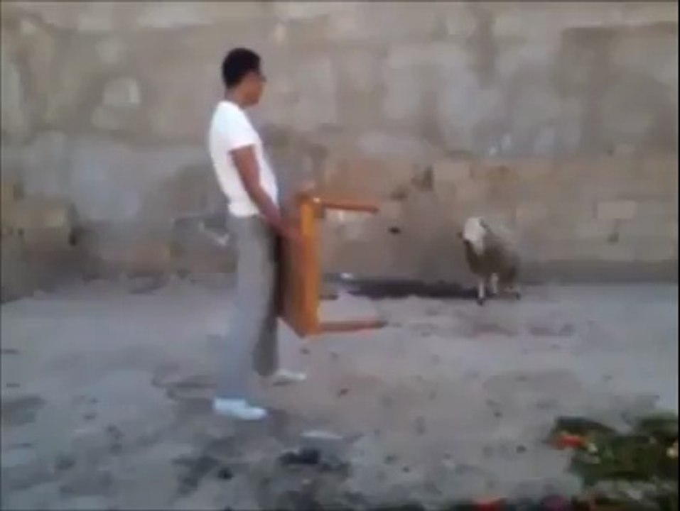 Wow Amazing