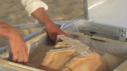 Imprimante 3D à base de sable utilisant le soleil!  Markus Kayser - Solar Sinter Project