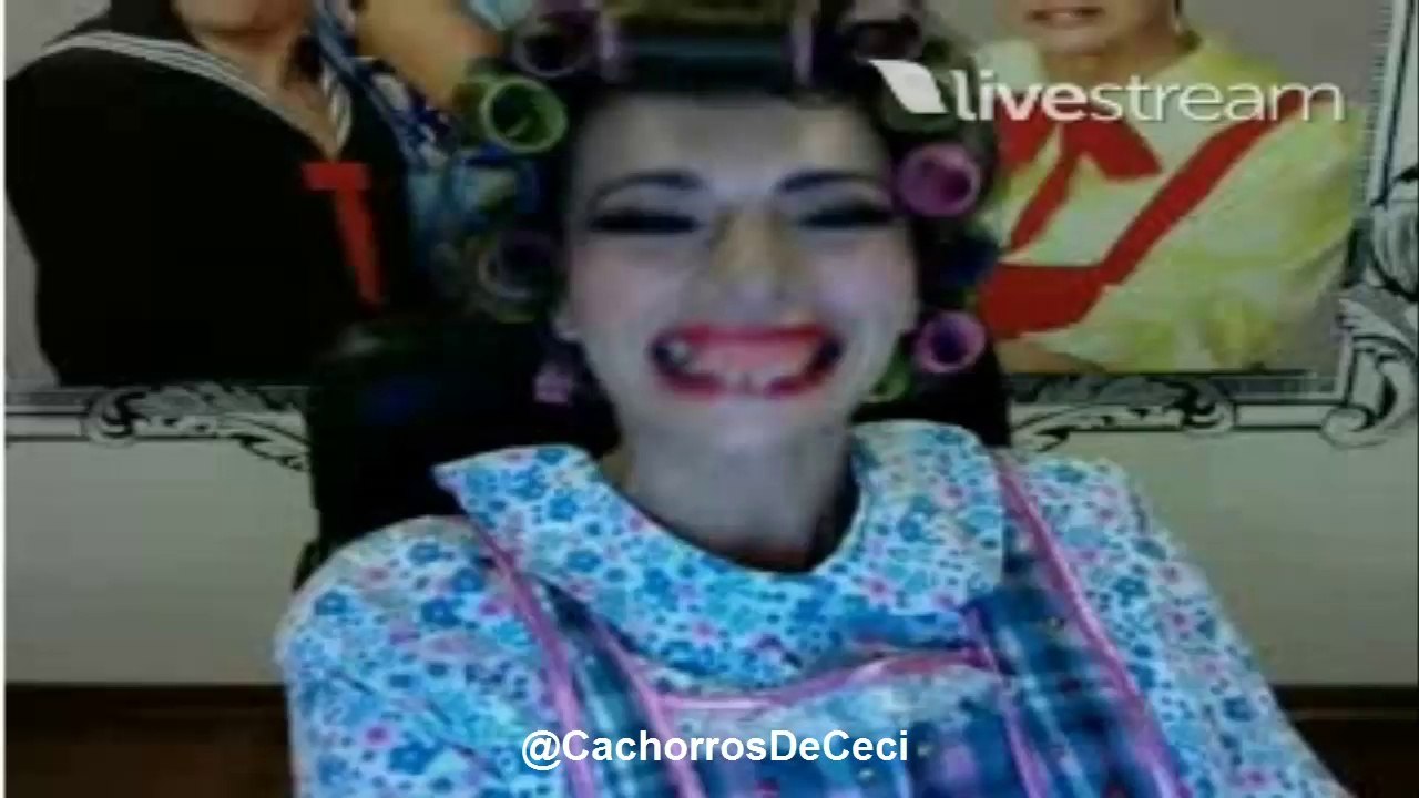 Twitcam Cecilia Galliano