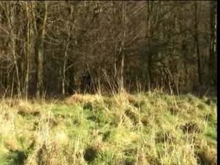 Passerelle dimanche.0001