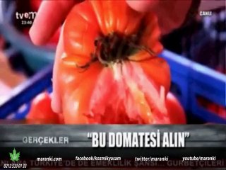 TVEM GERÇEKLER - 25.09.2014