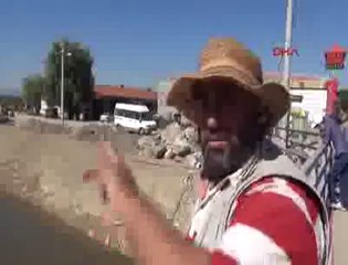 Posuk Çayı'nda balıklar ölüyor