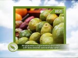 VESTI - Na pijacama i u trgovinama južno voće ovih dana dostiže astronomske cene_367_27.09.2014.