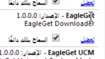حل مشكلة برنامج eagle get عدم ظهور الايقونه - 720p