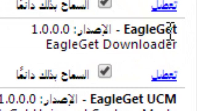 حل مشكلة برنامج eagle get عدم ظهور الايقونه - 720p