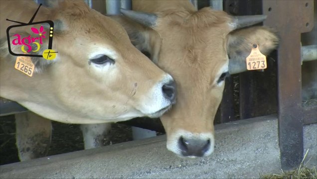 JT AgrI85TV du vendredi 26 septembre 2014