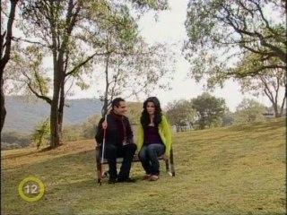 Árva Angyal E159: Szerepe és hatásai