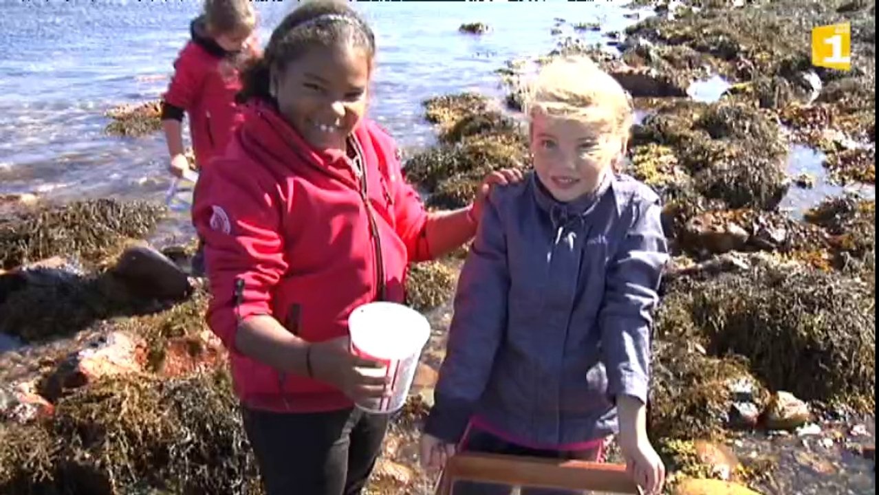 Des cours en plein air pour les classes vertes