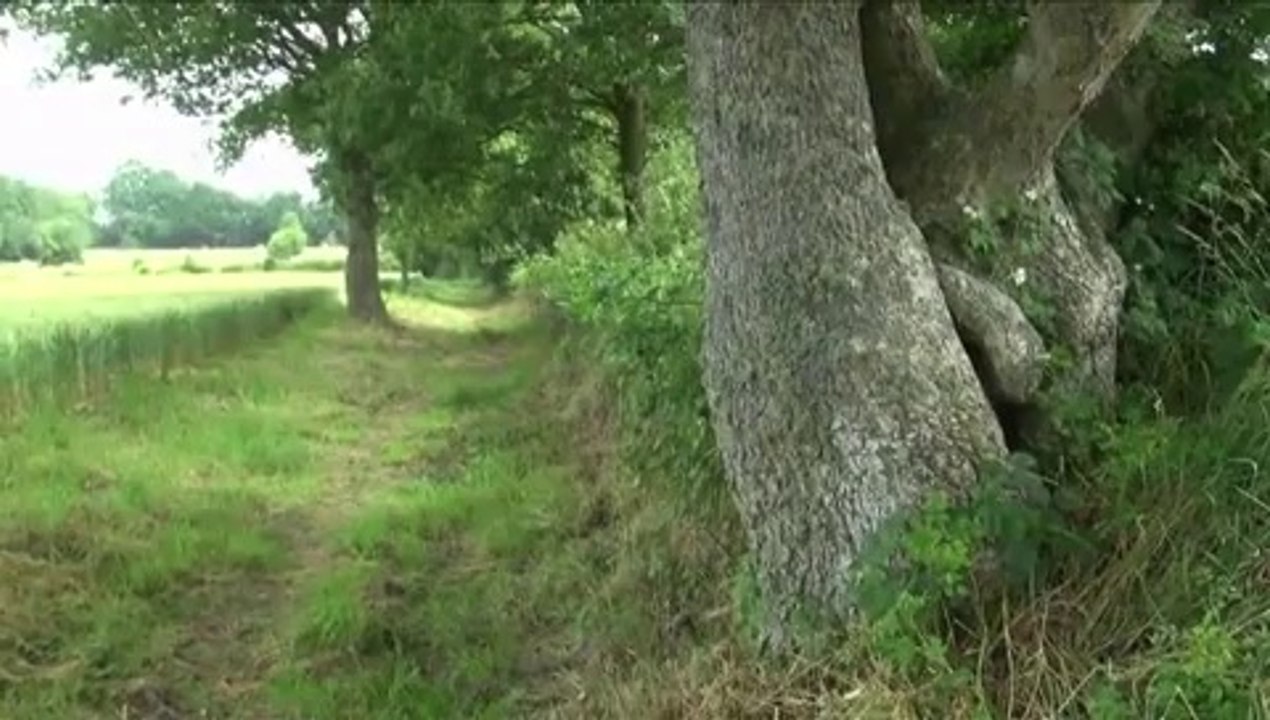 Le Paradis