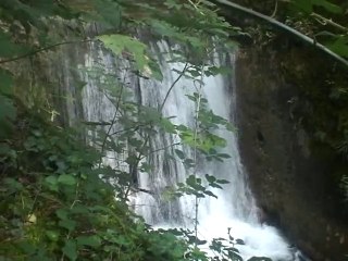Autour du ruisseau de la Terrasse 38660