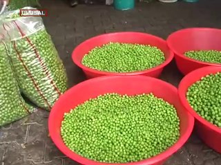 Bu yıl fiyatı: 10 TL